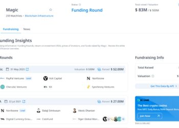 Detailed instructions for making Magic Newton Airdrop