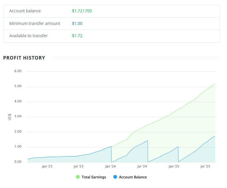 LoadTeam Earnings Dashboard & Profit Growth