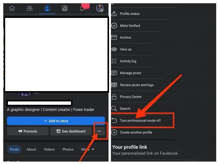 Screenshot of the “Turn on Professional Mode” option on Facebook